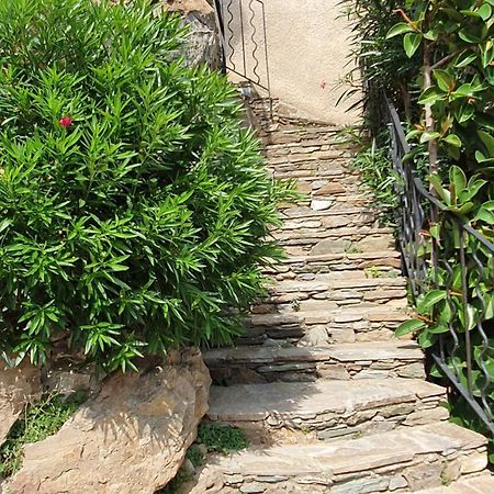 פיוריאני A Casetta Di Santa Maria מראה חיצוני תמונה